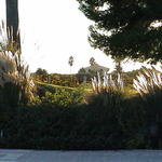 dsc00046.jpg