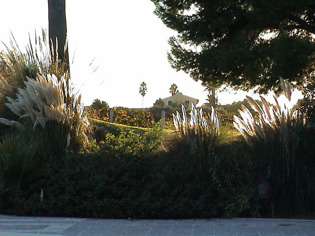 dsc00046.jpg