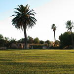 dsc00047.jpg