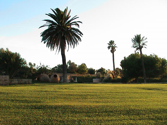 dsc00047.jpg