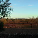 dsc00048.jpg
