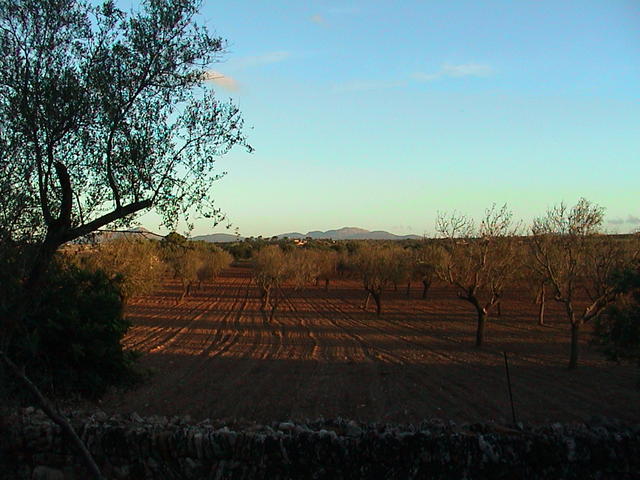 dsc00048.jpg