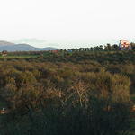 dsc00049.jpg