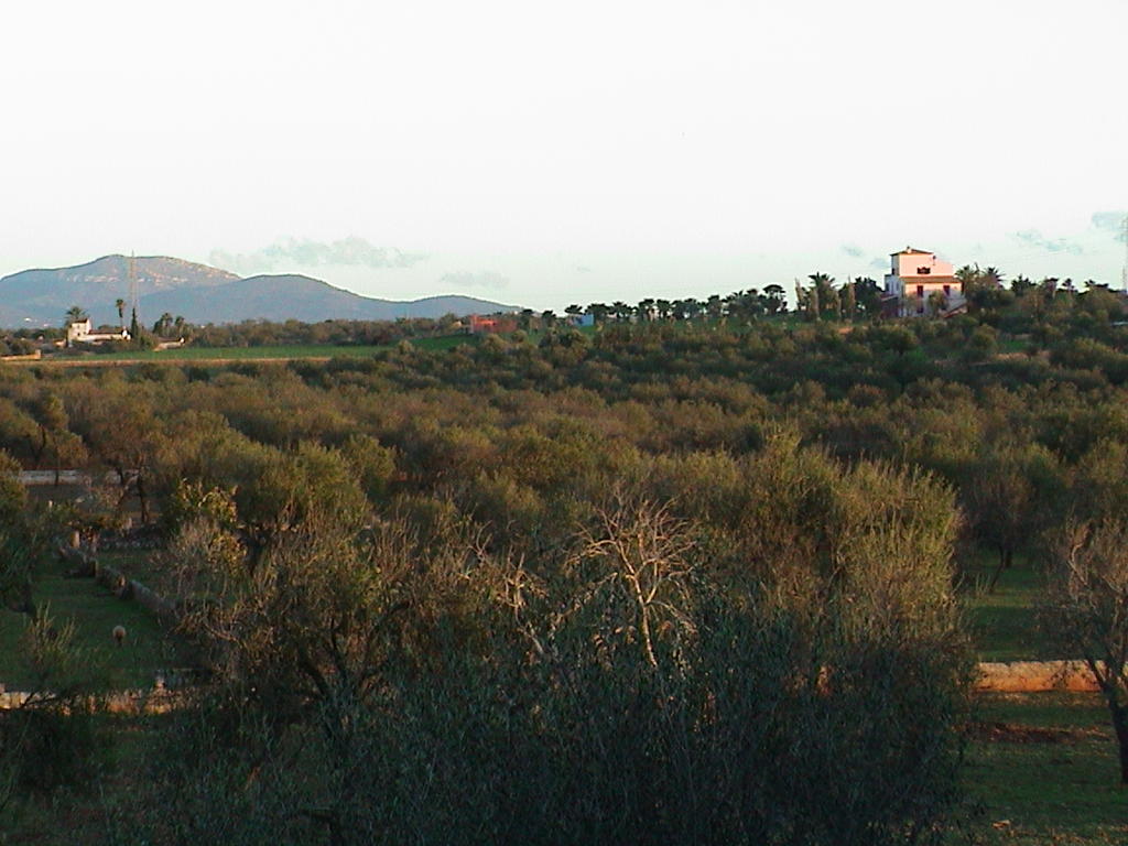 dsc00049.jpg