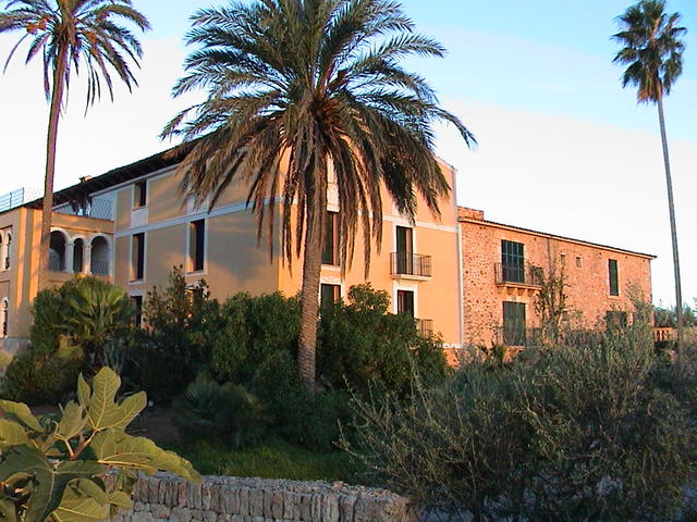 dsc00051.jpg