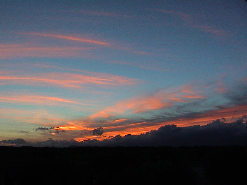 dsc00054.jpg