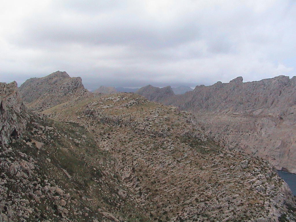 dsc00057.jpg