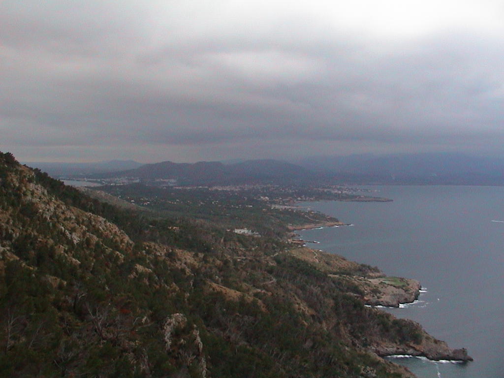 dsc00060.jpg