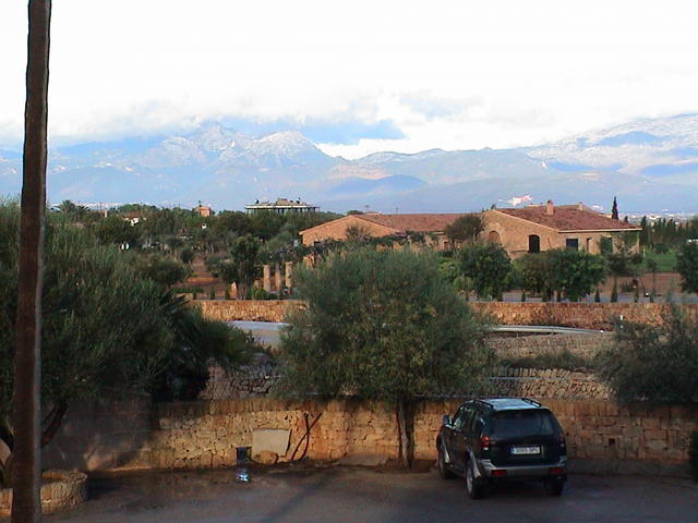 dsc00061.jpg