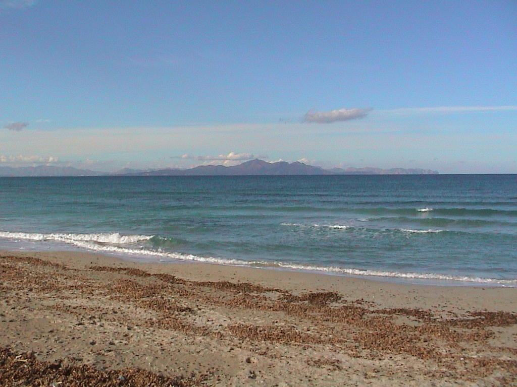 dsc00062.jpg