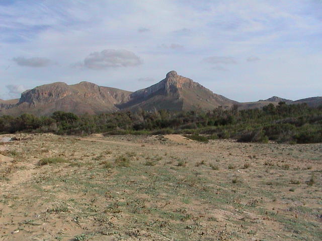 dsc00063.jpg