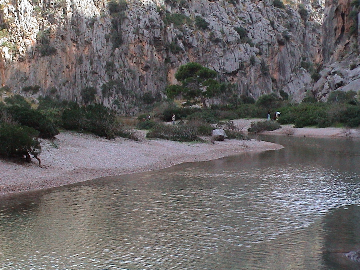 dsc00073.jpg