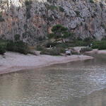 dsc00073.jpg