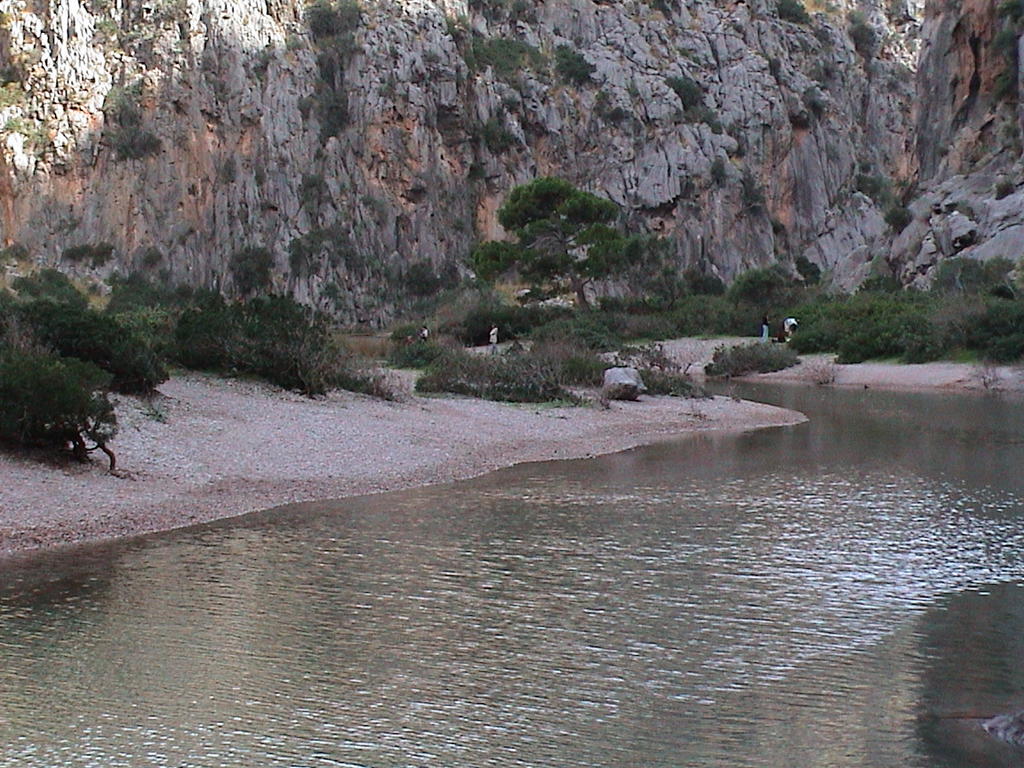 dsc00073.jpg