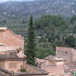 dsc00075.jpg