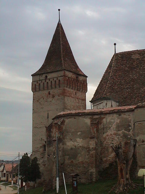 dsc00123.jpg