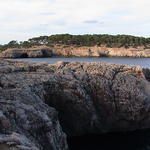 dsc00081.jpg