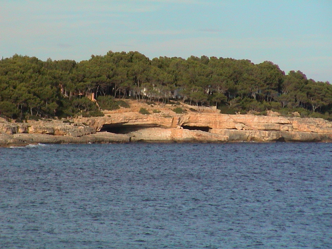 dsc00082.jpg