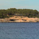 dsc00082.jpg