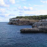 dsc00084.jpg