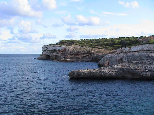dsc00084.jpg