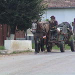 dsc00125.jpg