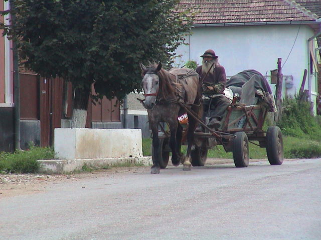 dsc00125.jpg