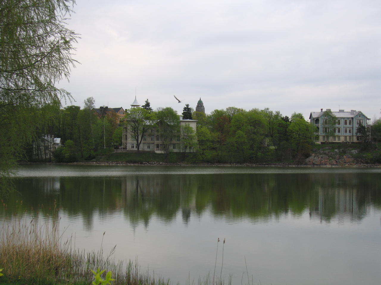 img_3056.jpg