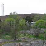 img_3072.jpg