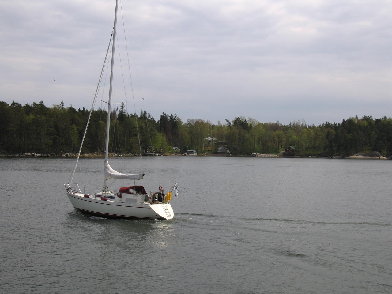 img_3107.jpg
