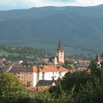 dsc00143.jpg
