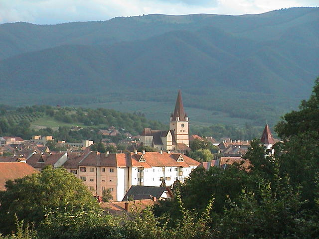 dsc00143.jpg