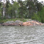 img_3124.jpg