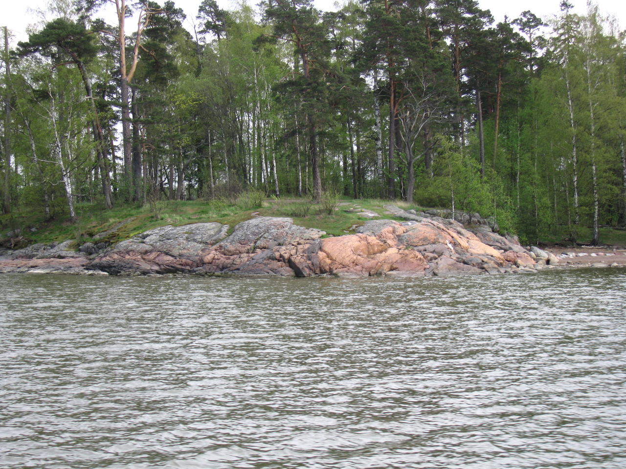 img_3124.jpg