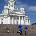 img_3150.jpg