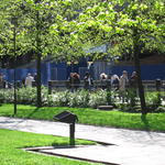 img_3154.jpg