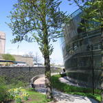 img_3163.jpg