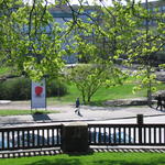 img_3166.jpg
