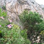 img_3174.jpg