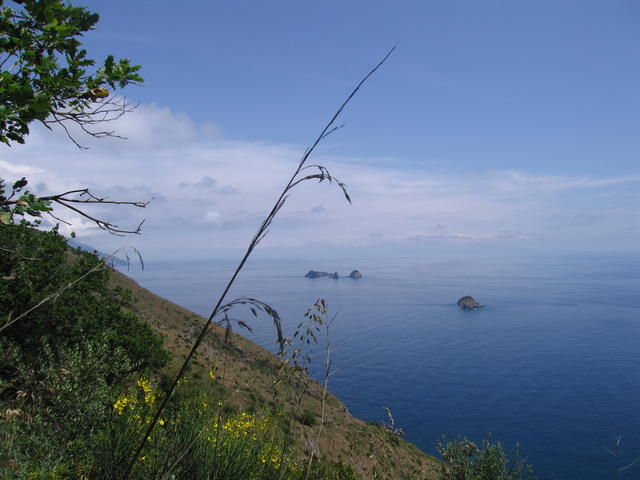 img_3175.jpg