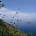 img_3175.jpg