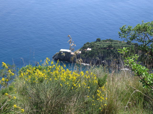 img_3179.jpg