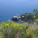 img_3179.jpg