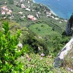 img_3227.jpg