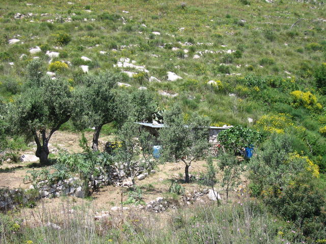 img_3246.jpg
