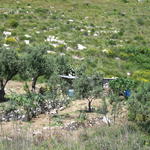 img_3246.jpg