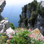 img_3247.jpg