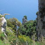 img_3249.jpg