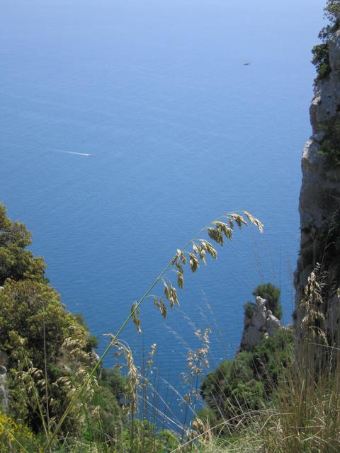img_3250.jpg