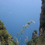 img_3250.jpg